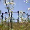 King's Cross Victorian Gasholder