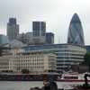 The Gherkin context