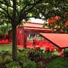 Serpentine Gallery Pavilion