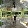 Serpentine Pavilion SANAA design