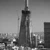 The Shard