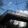 Snowdon Aviary  at Regent's Park