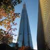The Shard Building
