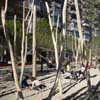 Salon de Pinos Madrid by West 8 Landscape Architects