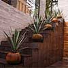House by the River Mexico