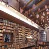 Jaime Garcia Terres Library Mexico City