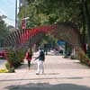 Portal of Awareness Mexico City Paseo de la Reforma