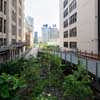 High Line Section 2 Falcone Flyover