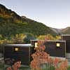 Arrowtown House