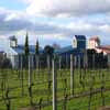 Buildings in Martinborough