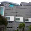 Te Papa Museum