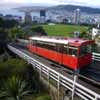 Wellington Botanic Gardens