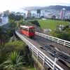 New Zealand Botanic Gardens