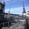 Wellington Harbour Buildings