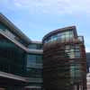 Wellington Harbour Buildings