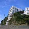 Oriental Bay Architecture