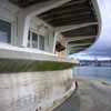 Buildings in Oriental Bay