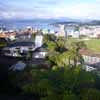 Botanic Gardens Wellington
