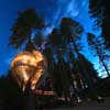 Treehouse Restaurant New Zealand