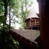 Treehouse building Alnwick Gardens