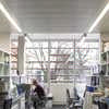 Oxford Molecular Pathology Institute