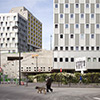 Pink Flamingo Student Housing Paris