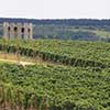 Avincis Winery Romania