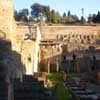 Roman Forum