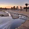 Wadi Hanifa Wetlands Riyadh Saudi Arabia