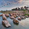 Wadi Hanifa Wetlands Riyadh Saudi Arabia