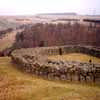 Dun Edin Broch