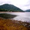 Loch Fyne