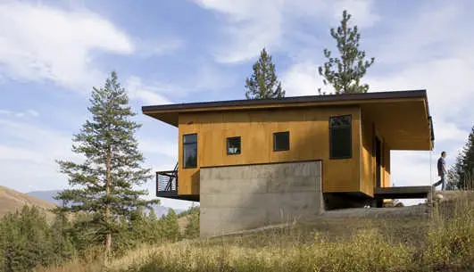 Pine Forest Cabin in Washington