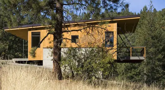 Pine Forest Cabin in Washington