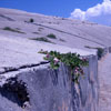 Il Cretto Sicily - Sicilian architecture