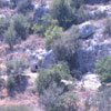 Necropolis of Pantalica