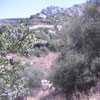 Necropolis of Pantalica Sicily