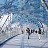 The Helix Bridge Singapore