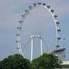 Singapore Flyer