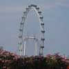 Singapore Ferris Wheel