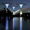 Gardens by the Bay Singapore