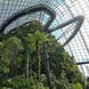 Gardens by the Bay Singapore