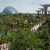 Gardens by the Bay Singapore