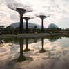 Gardens by the Bay Singapore