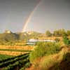 Tarragona Bodega