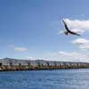 Fishermen Warehouses Cangas