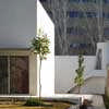 Daycare Center and Municipal Dining Hall at los Mondragones, Granada