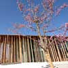 Mexican Pavilion Expo Zaragoza