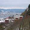 Housing Herrliberg