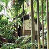 Palm Garden House